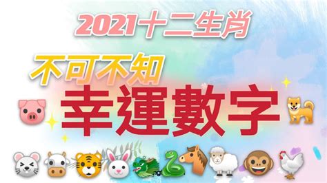 屬兔的幸運數字|2023兔年生肖開運指南！幸運色、幸運數字、招財方。